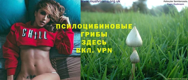 MDMA Premium VHQ Верхний Тагил