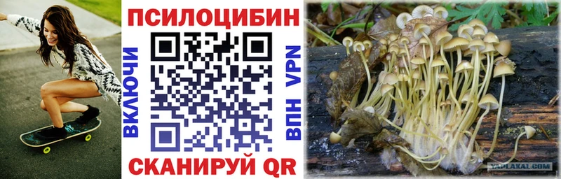 Псилоцибиновые грибы Psilocybe  закладка  Волчанск 